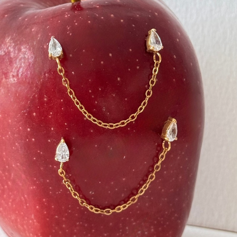 Celine earrings