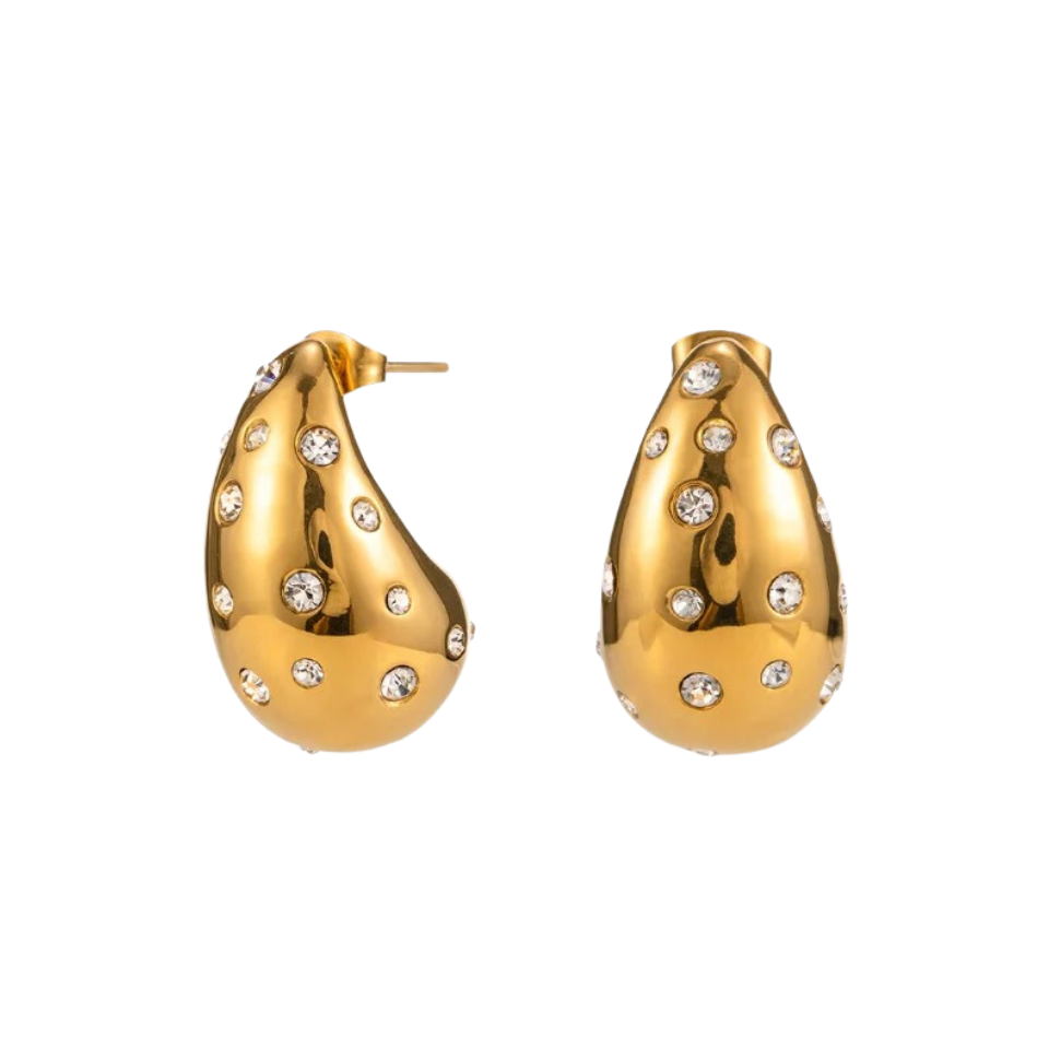La beaute earrings