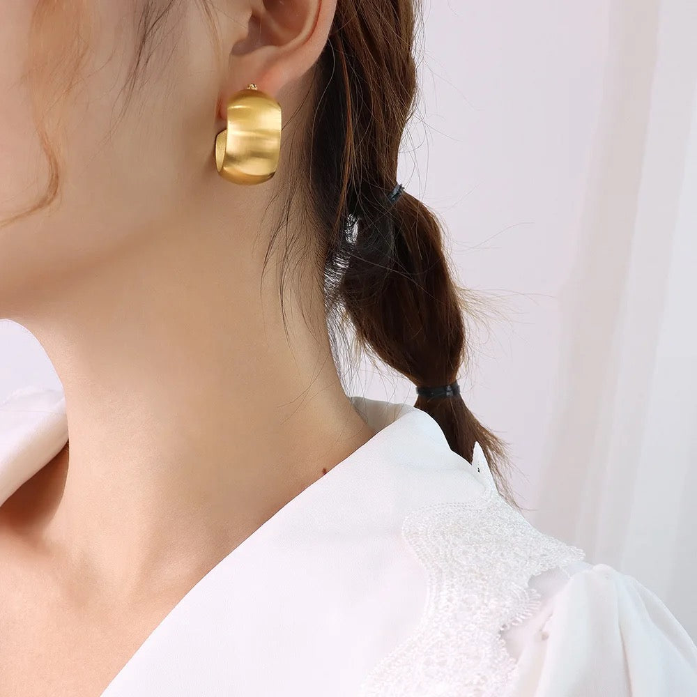 Tuna earrings