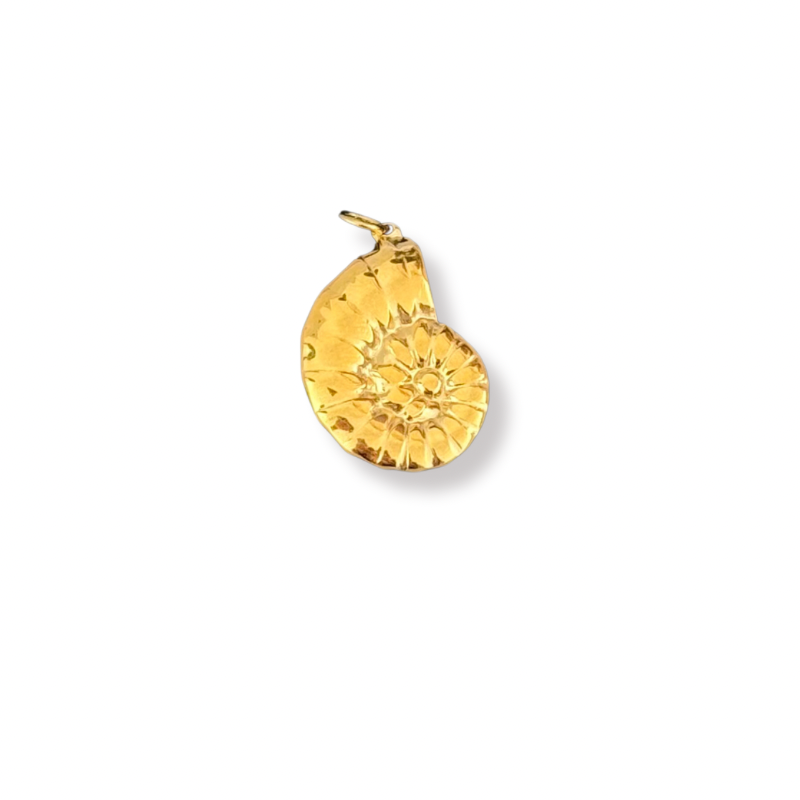Ram's horn shell charm