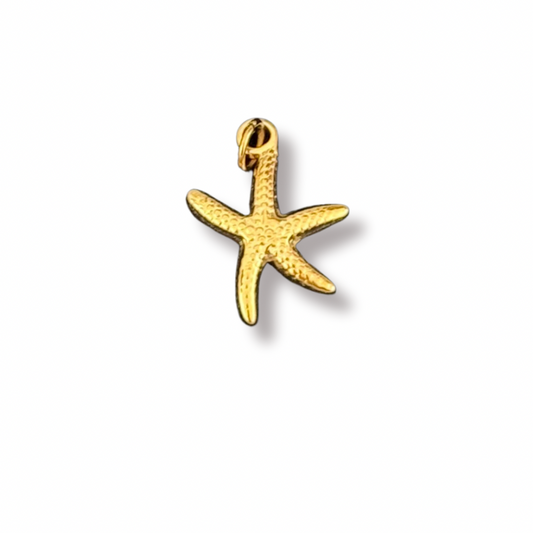 Starfish charm
