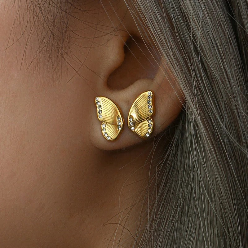 Arabica studs 2.0