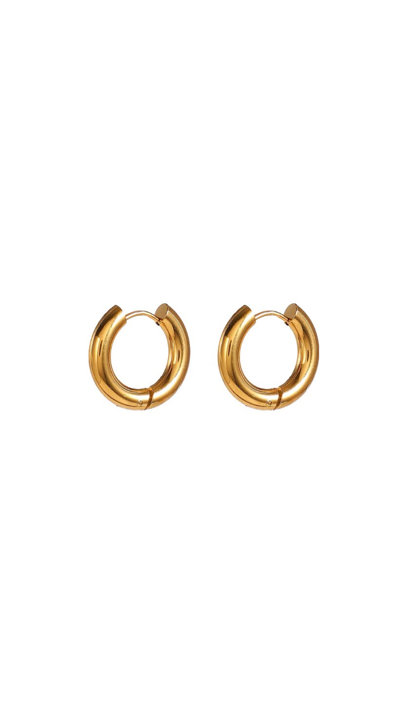 Nicole hoops