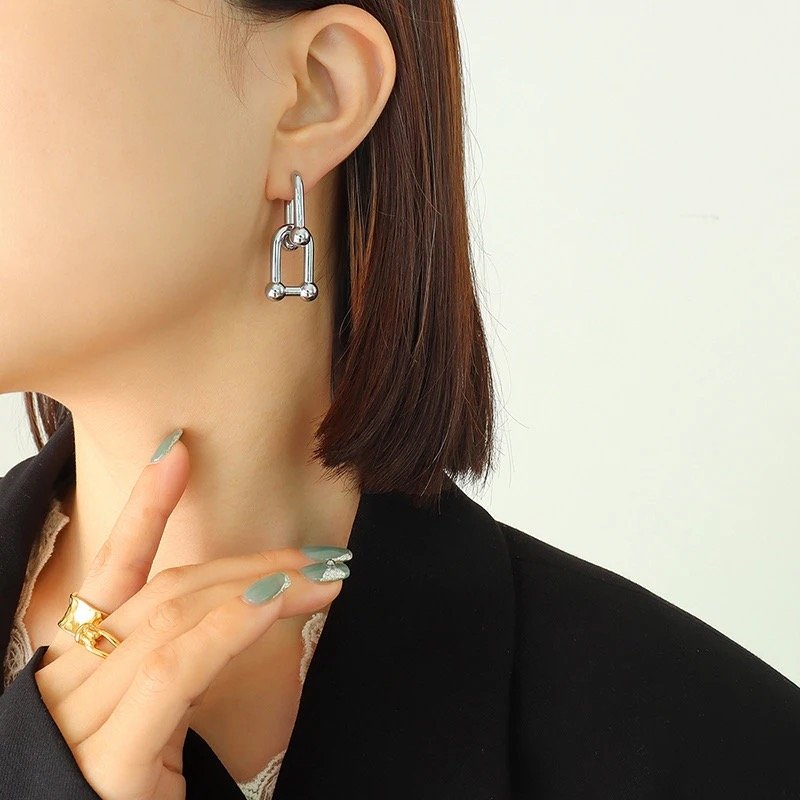 Horseshoe earrings