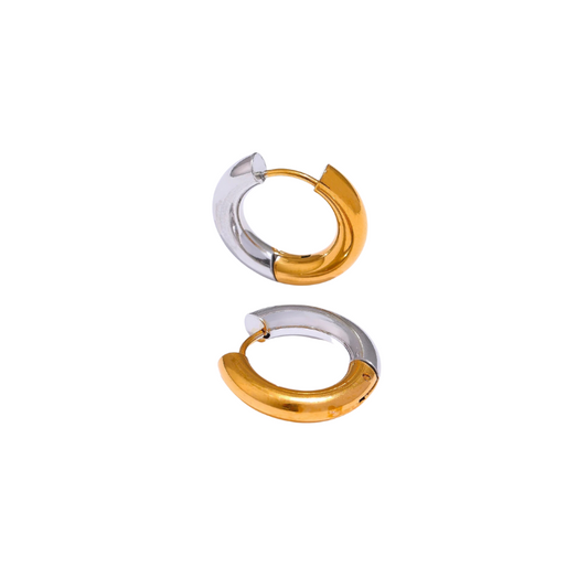 Mix metal earrings