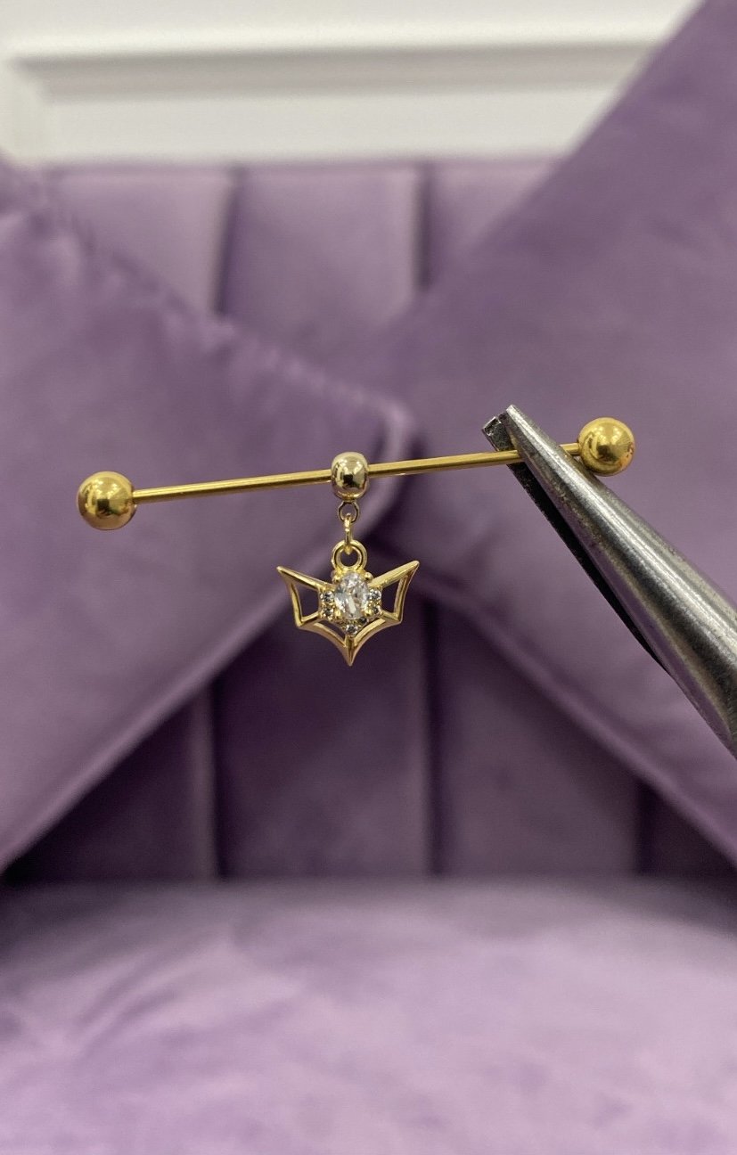 Web industrial barbell
