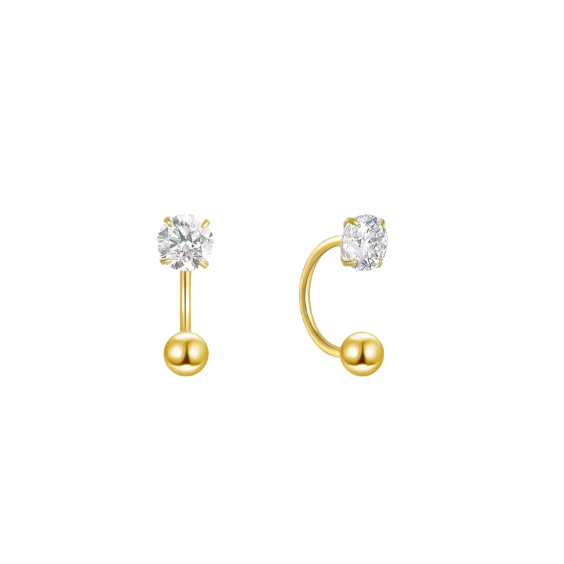 Dual helix earrings