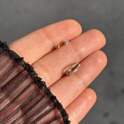 Dual helix earrings