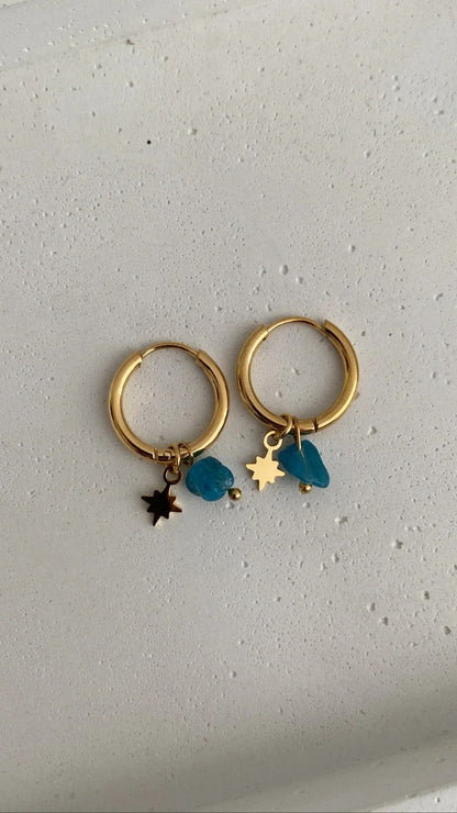 Alfonzo earrings