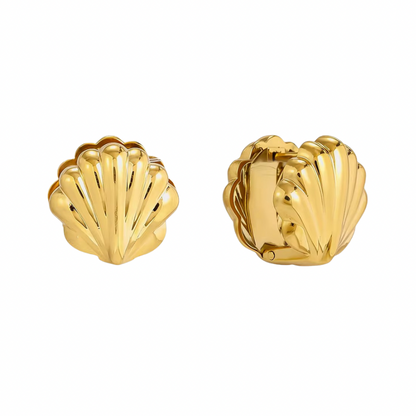 Shell hugging earrings