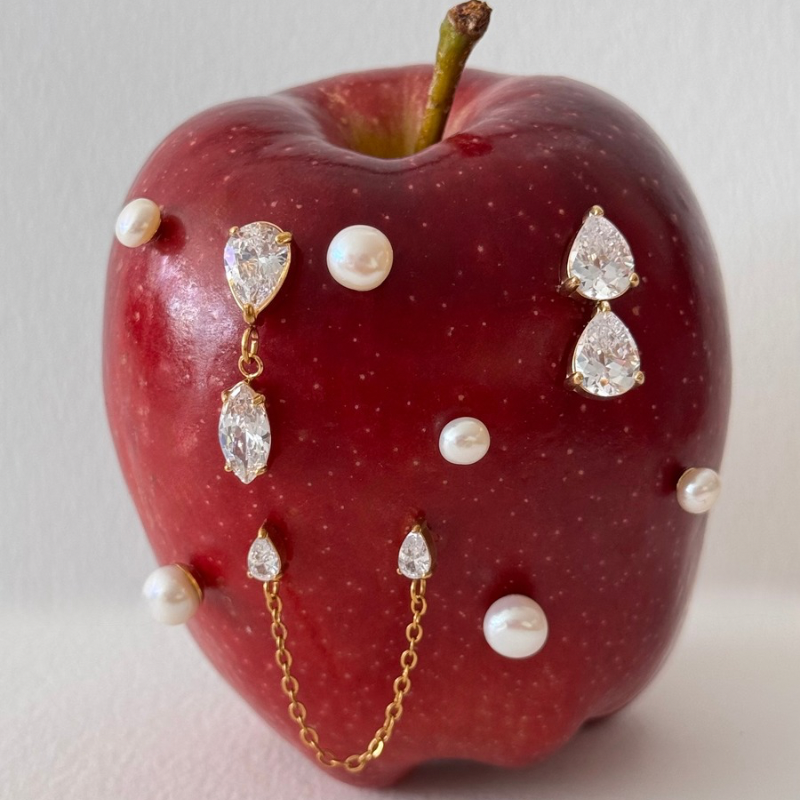 Celine earrings