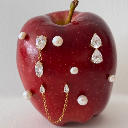 Celine earrings