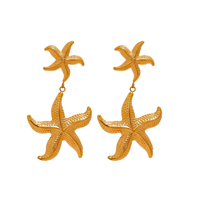 To be a star earrings