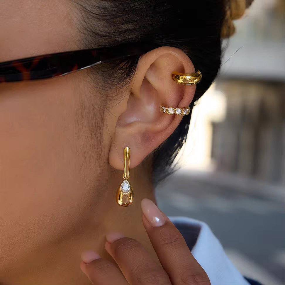 Dodge earrings