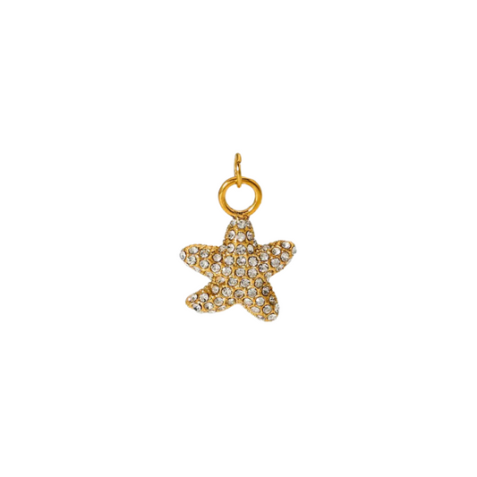 Shiny starfish cham