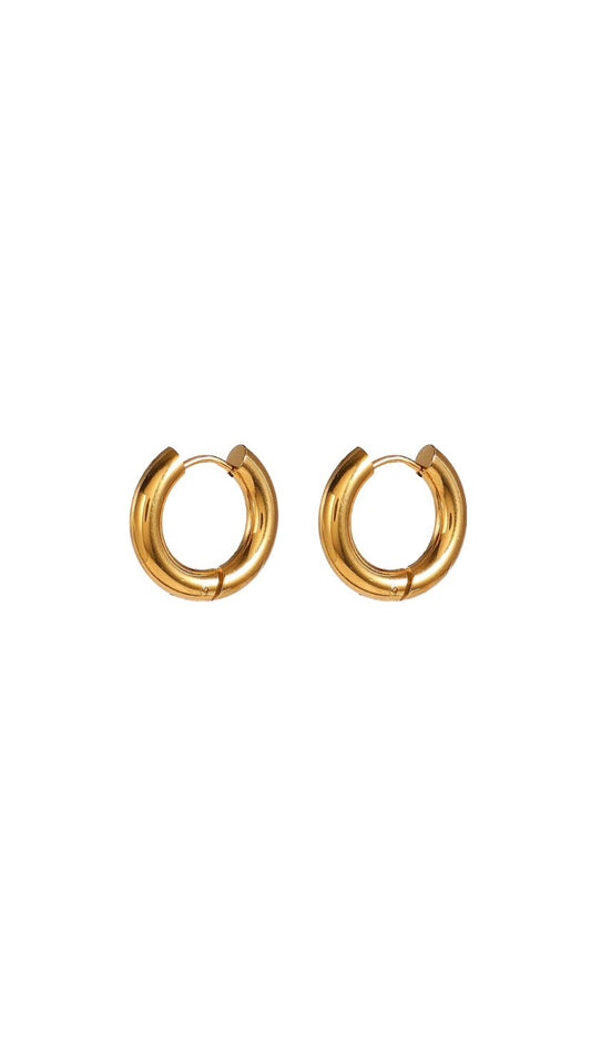 Nicole hoops