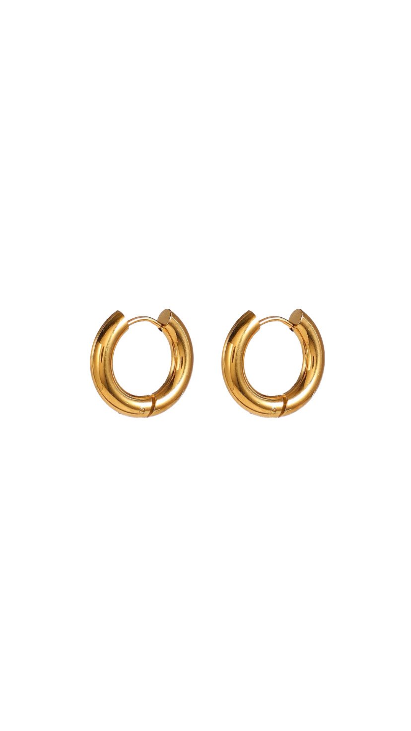 Mini Nicole hoops